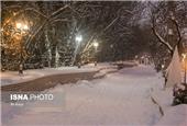 بارش باران و برف در شمال کشور/ به ارتفاعات صعود نکنید