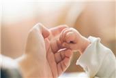 تولد بیش از 371 هزار و 500 نوزاد در اولین روز سال نو میلادی در جهان