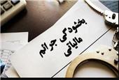 جرایم مالیاتی مشمول بخشودگی شدند؛