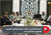 سرمایه‌گذاری بر سلامت روان کارکنان، تضمین بهره‌وری سازمانی است