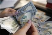 معامله 133 میلیون دلار در بازار ارز تجاری مرکز مبادله ایران