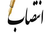 مشاور وزیر در امور بانوان وزارت نفت منصوب شد