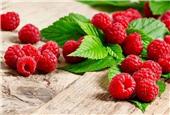 میوه ای خوشمزه برای لاغری و تقویت حافظه
