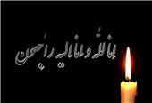 حادثه تلخ واژگونی اتوبوس زائران اربعین حسینی موجب تألم و تأثر عمیق گردید.