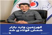 گوهرزمین وارد بازار شمش فولادی شد