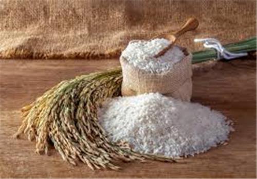 برنج به کالایی لوکس تبدیل می‌شود!