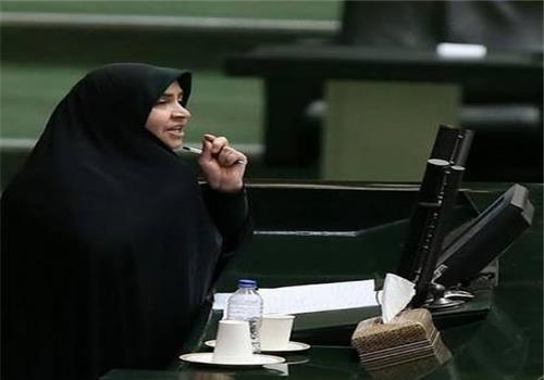 نماینده مجلس: توافق اخیر ثمره اقتدار میدان و دیپلماسی است