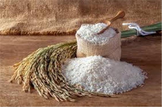 برنج به کالایی لوکس تبدیل می‌شود!