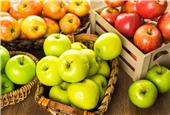 برای پیشگیری از سرطان روده روزی یک سیب بخورید