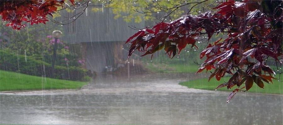 بارش باران در غالب نقاط کشور/ کاهش دما تا ۱۰ درجه در استان‌های ساحلی دریای خزر