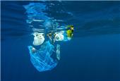 برگزاری هفته «محیط زیست» با شعار «نهضت ملی کاهش آلودگی‌های پلاستیکی»