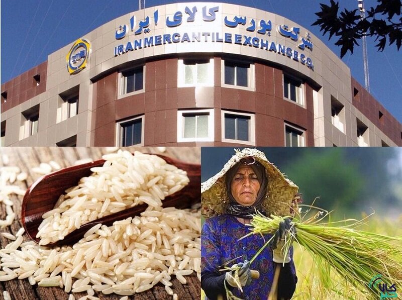 چگونه از بورس برنج بخریم؟