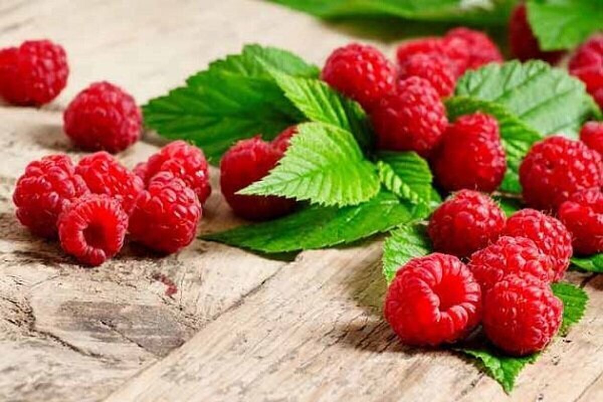 میوه ای خوشمزه برای لاغری و تقویت حافظه