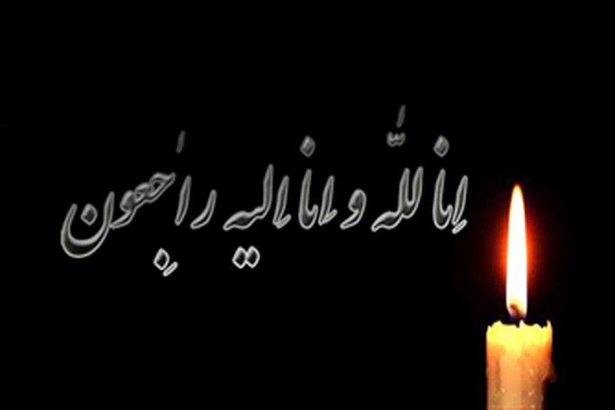 حادثه تلخ واژگونی اتوبوس زائران اربعین حسینی موجب تألم و تأثر عمیق گردید.