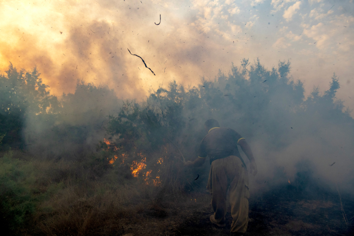 یک آتش و سه گزارش/ محیط‌زیست در آتش‌سوزی الیت تمام‌قد پای کار بود