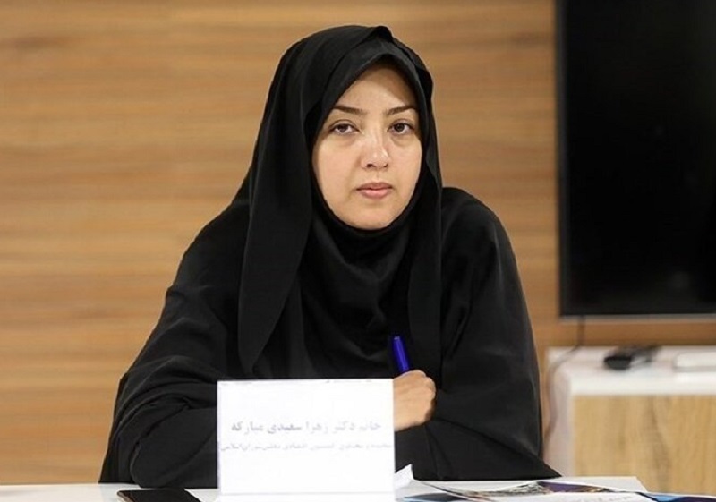 قیمت گذاری دستوری خودرو باید اصلاح شود/دولت آیین‌نامه خودروهای دست دوم را اجرا نکرد!