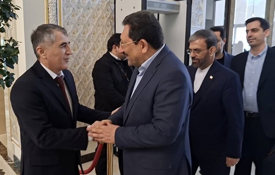 وزیر صمت ایران وارد تاجیکستان شد/ آغاز رایزنی‌های اقتصادی و صنعتی تهران و دوشنبه